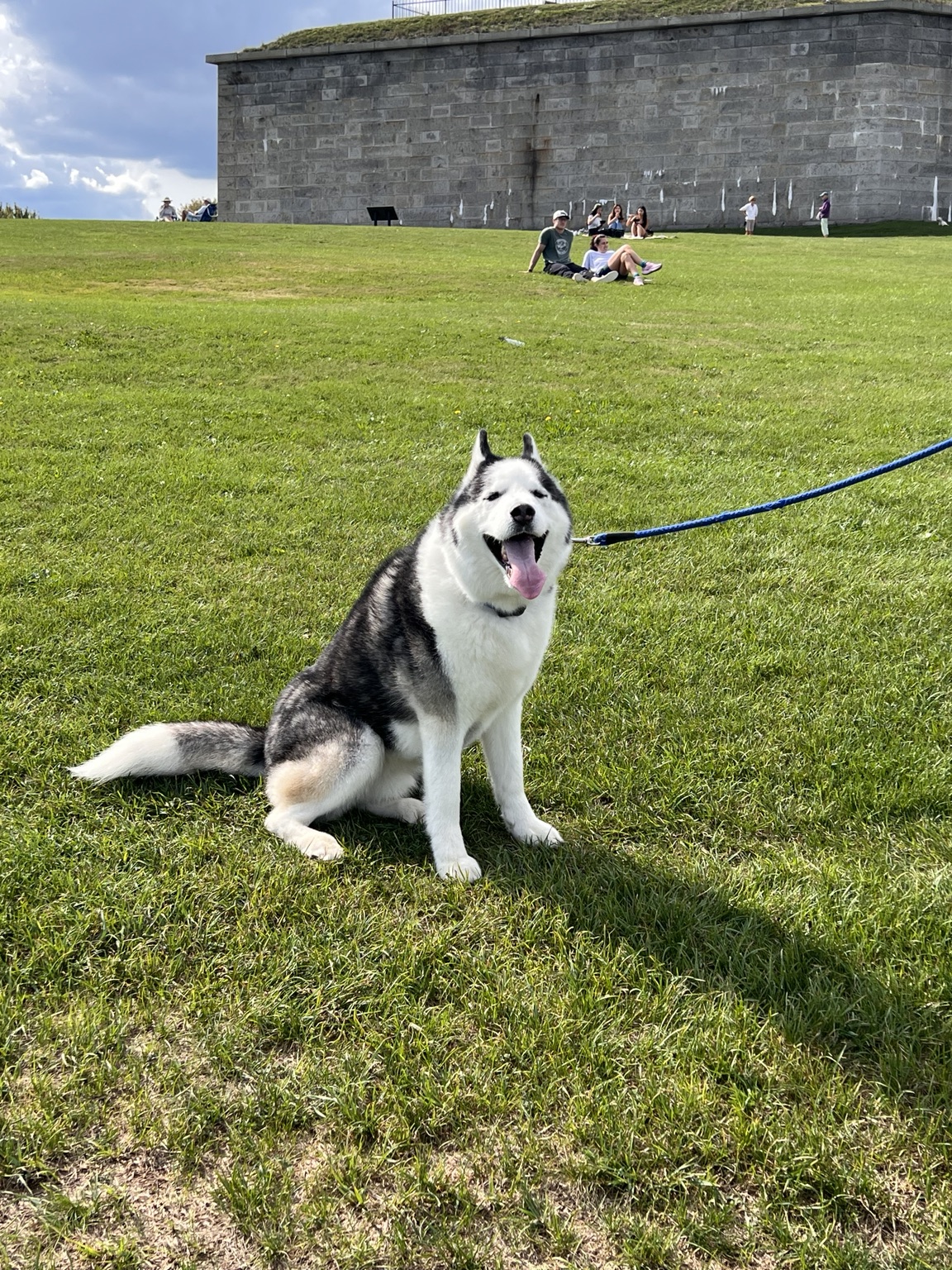 The real Baxter sitting outside
